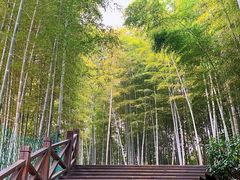 -天目湖山水园