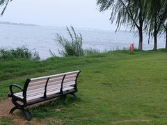 -漕湖湿地公园
