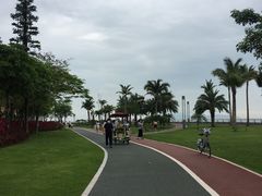 -野狸岛