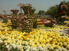 android_upload_pic-石家庄市植物园
