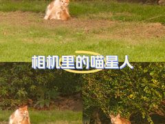 -瑞虹新天地月亮湾