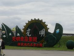 -上海都市菜园