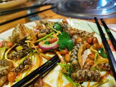 -洞密园美食城(富华路店)