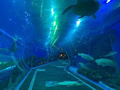 -成都浩海立方海洋公园