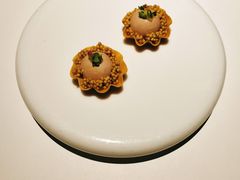 -觀芷隐轩