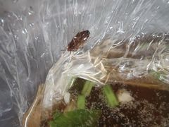 -福合埕牛口福·牛肉火锅·牛肉丸