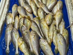 -上海老范农家乐(崇明前卫村店)