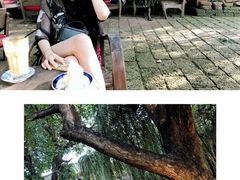-Fern Forest Cafe