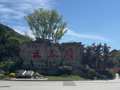 -王莽岭风景区