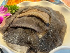 -二荆条·蜀鲜汇城市森林火锅