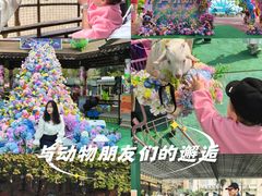 -灵玲国际马戏城
