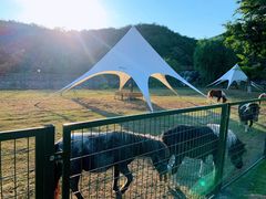 -静之湖湖畔餐厅