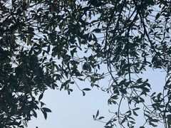 -千龙湖生态旅游度假区