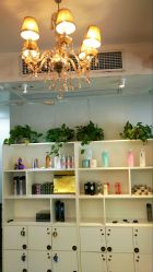 -维卡 Salon