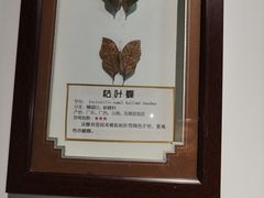 -上海大自然野生昆虫馆(东方明珠·爬宠昆虫探索中心)