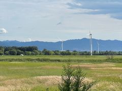 -野鸭湖国家湿地公园