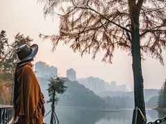 -重庆彩云湖湿地公园