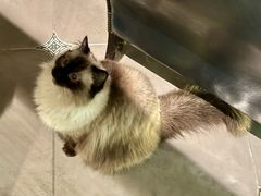 -Estaeslavida分享茄雪茄吧(亿彩购物中心店)