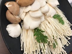 -舌尖记忆重庆火锅(悉尼店)