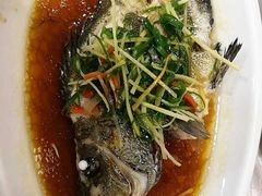 -顺德佬华侨城店·商务宴请·团建