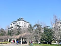 -武汉大学-樱园