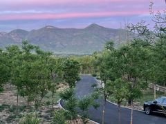 -Walker萌宠露营(大明骑士驿站店)