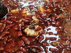 -重庆何乌鱼(南湖逸家店)
