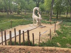 -燕郊植物园