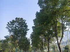 -后襄河公园