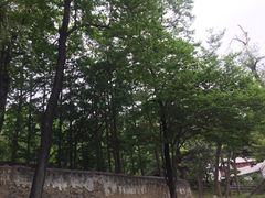 -阳台山自然风景区