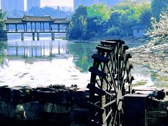 -洛龙公园