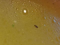 -小姨家常菜(昭萍东路店)