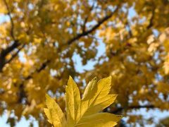 -长春公园(普阳街道)