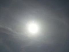 -台场海滨公园船码头