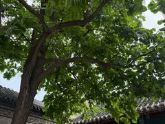 -张学良旧居陈列馆