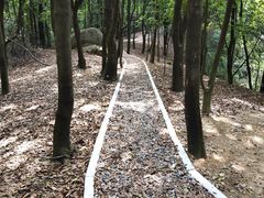 -火炉山森林公园