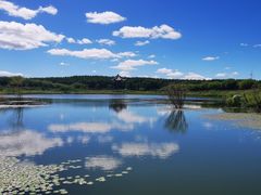 -塞罕坝国家级自然保护区