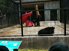 -广东茂名森林公园