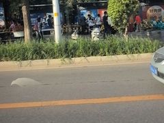 -北陵公园
