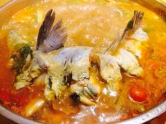 尖嘴鱼-老凯俚酸汤鱼(鸿通城店)