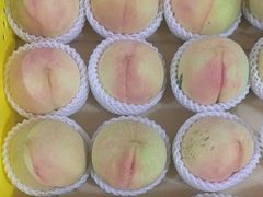 -老袁家蜜桃农场·阳山水蜜桃