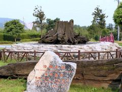 -金钉子远古世界景区