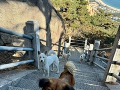 -崂山仰口游览区