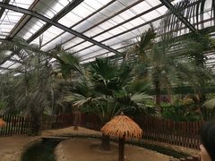 -呀路古热带植物园