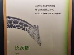 -思南书局(复兴中路店)
