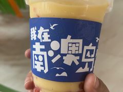 -南澳岛打卡果汁冰公司