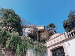 -上海佘山国家森林公园西佘山园