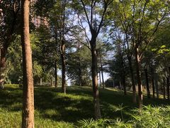 -龙头寺公园