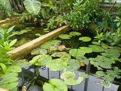 -国家植物园南园