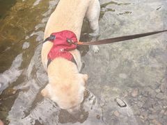 -安吉龙王山峡谷漂流